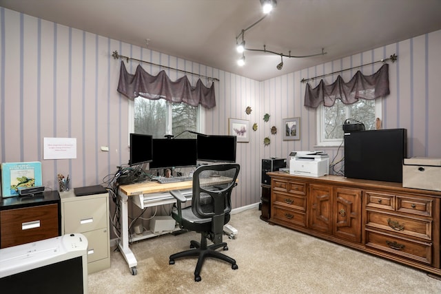 carpeted office space featuring rail lighting