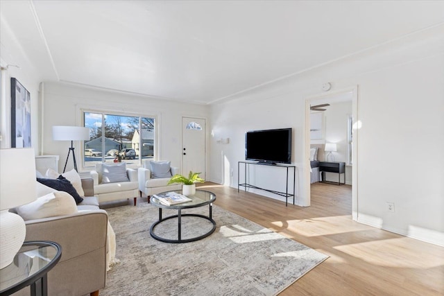 living room featuring light wood-type flooring