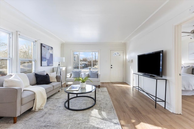 living room featuring plenty of natural light, ceiling fan, light wood-type flooring, and crown molding