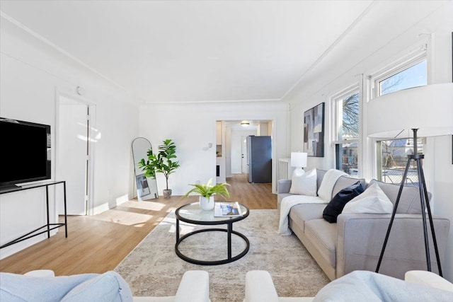 living room with light hardwood / wood-style flooring