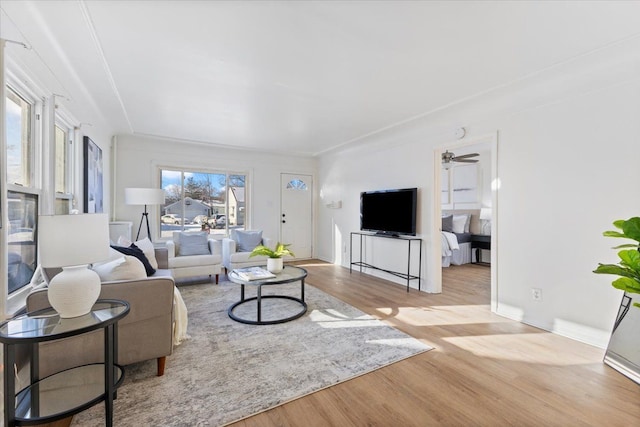 living room featuring ceiling fan and light wood-type flooring