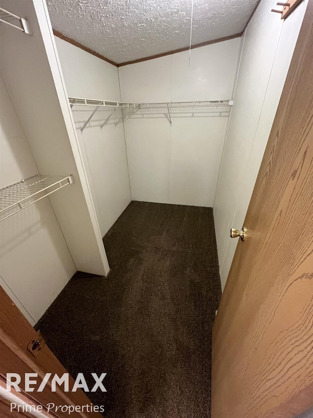 spacious closet featuring carpet floors