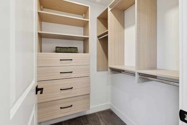 spacious closet with dark carpet