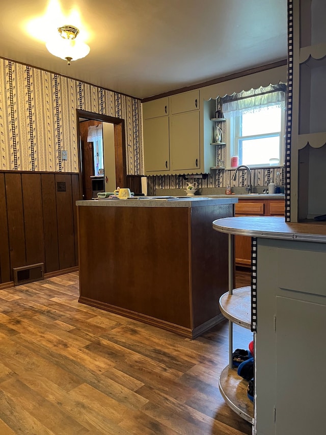 kitchen with wooden walls, sink, and dark wood-type flooring