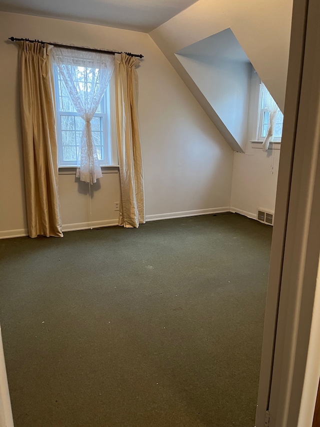 additional living space with carpet and lofted ceiling