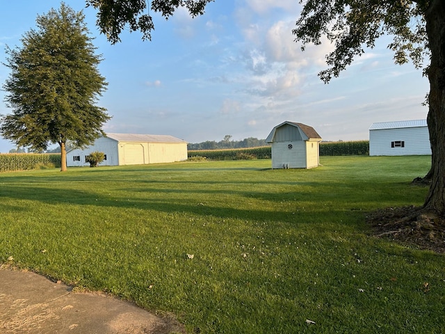 view of yard featuring a storage shed