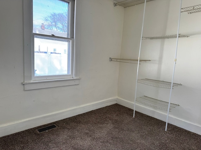 spacious closet featuring carpet flooring