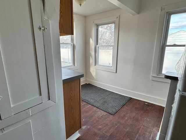 interior space featuring dark hardwood / wood-style flooring