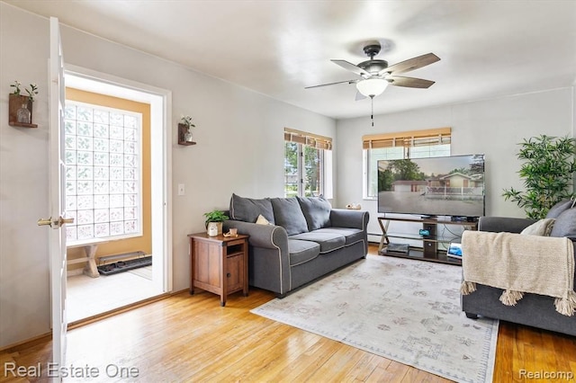 living room featuring ceiling fan and wood-type flooring