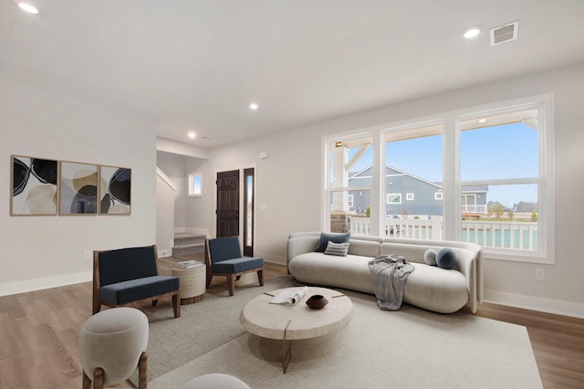 living room featuring wood-type flooring