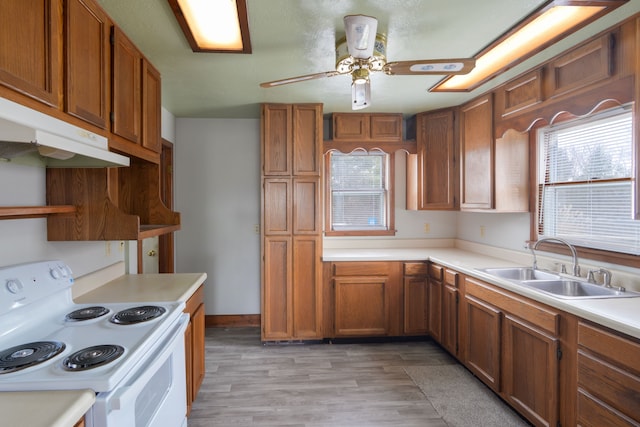 kitchen featuring ceiling fan, sink, light wood-type flooring, and white electric stove