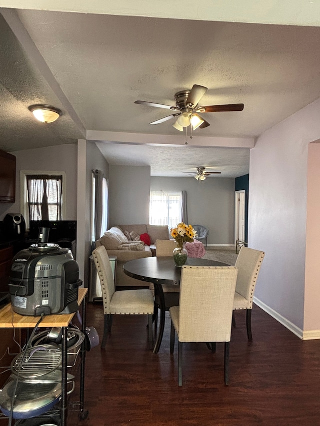 dining space with a ceiling fan, wood finished floors, a wealth of natural light, and a textured ceiling