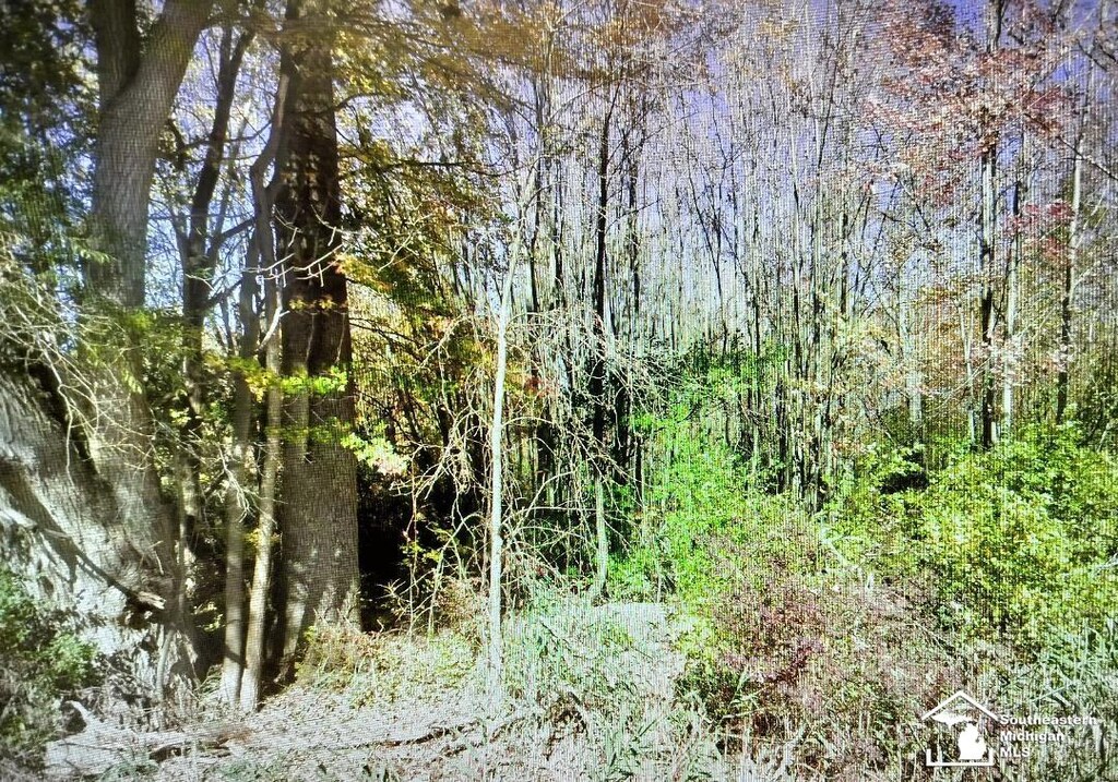 49570 Bog Rd, Van Buren, MI 48111