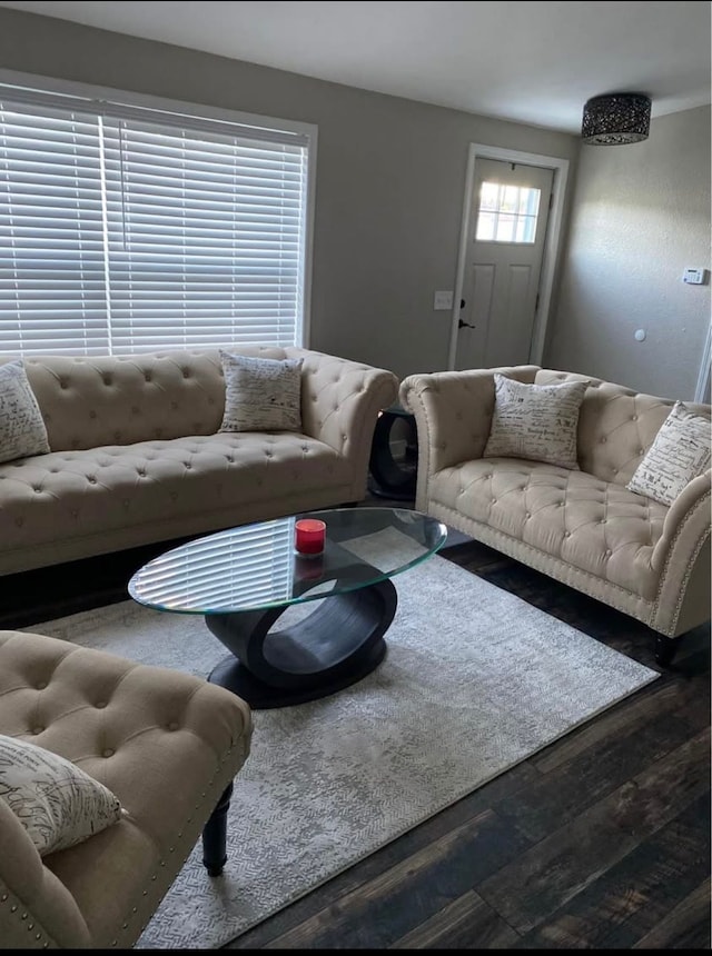 living room featuring wood-type flooring