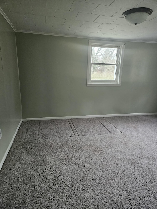 empty room with carpet flooring and ornamental molding