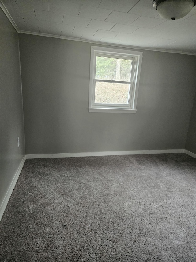 carpeted empty room with ornamental molding