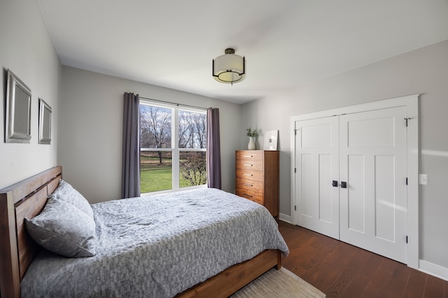 bedroom with a closet and dark wood-type flooring