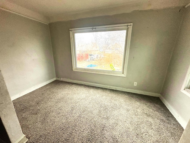 unfurnished room featuring carpet floors