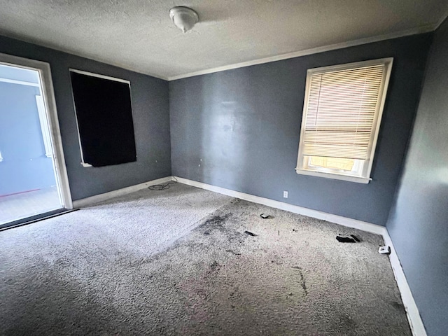 carpeted empty room with crown molding and a textured ceiling