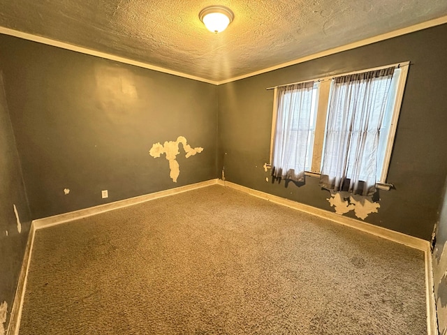 empty room featuring carpet, crown molding, and a textured ceiling