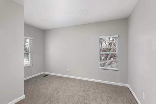 carpeted spare room featuring a wealth of natural light