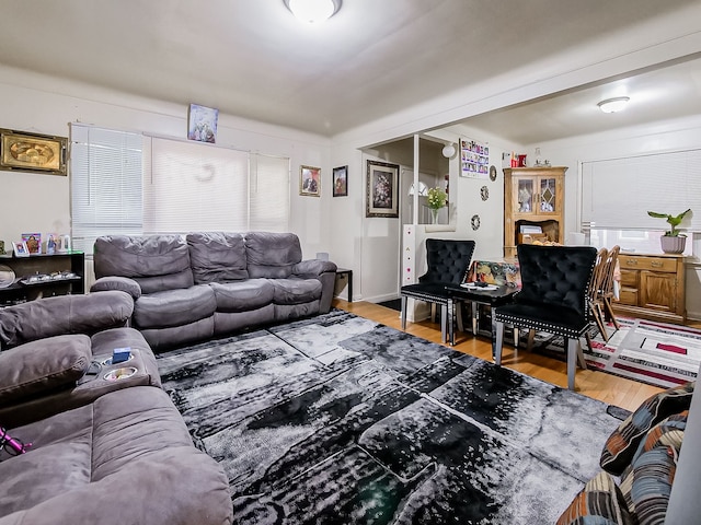 living room featuring light wood-type flooring