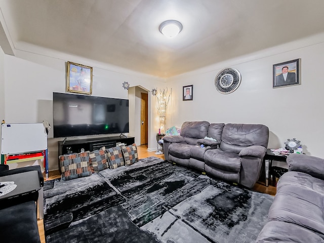 living room with hardwood / wood-style floors