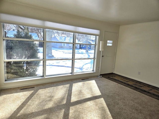 carpeted entrance foyer with visible vents