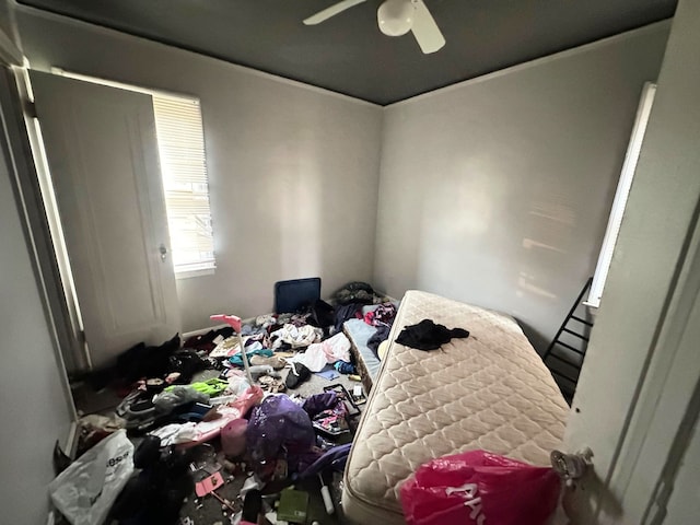 bedroom featuring ceiling fan