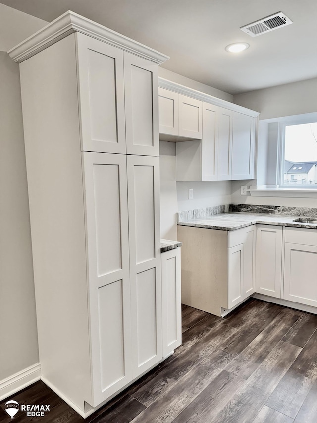 kitchen with white cabinetry and dark wood-type flooring