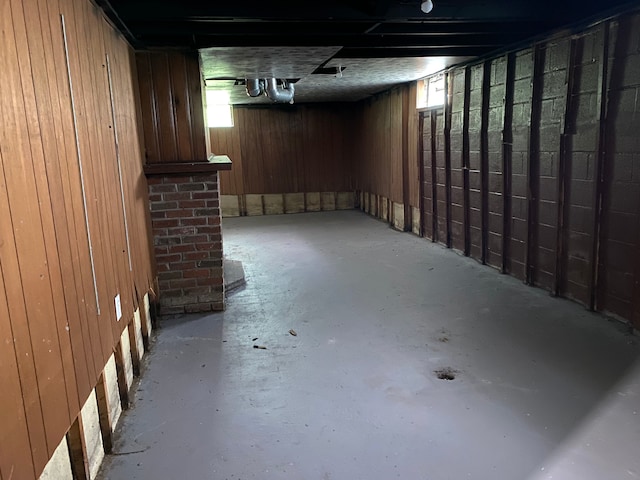 basement featuring a wealth of natural light and wood walls