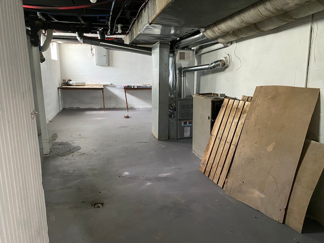 basement with heating unit