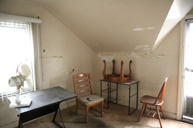 interior space with lofted ceiling