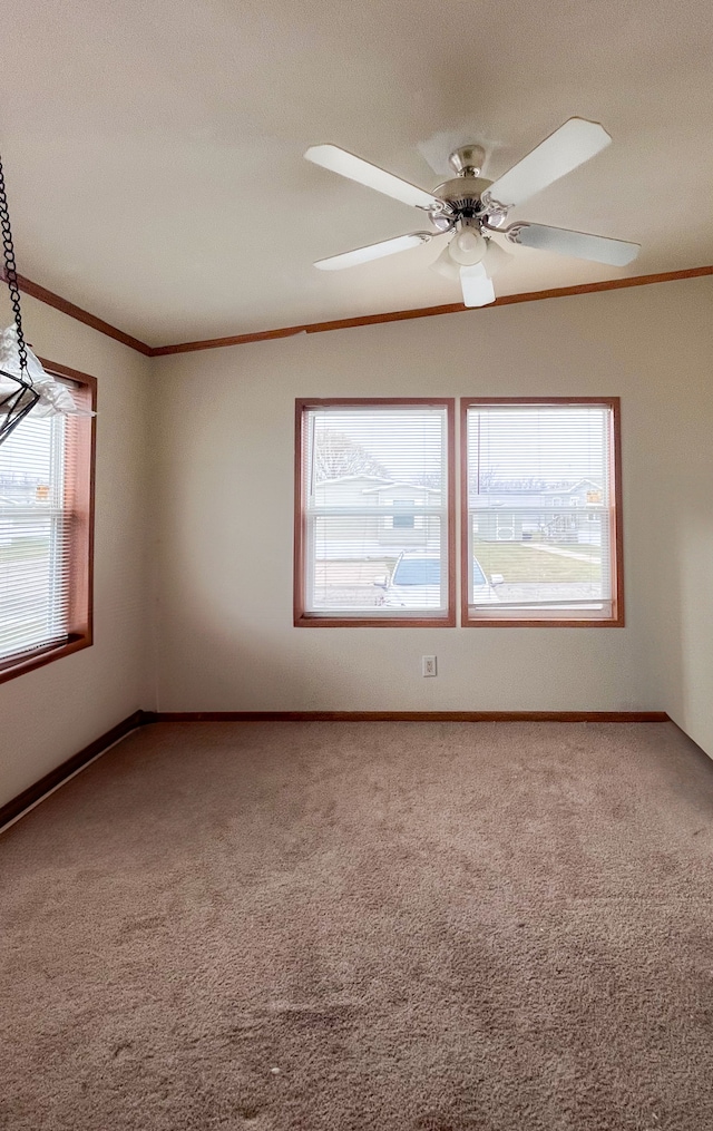 unfurnished room featuring ceiling fan, carpet floors, a textured ceiling, and ornamental molding