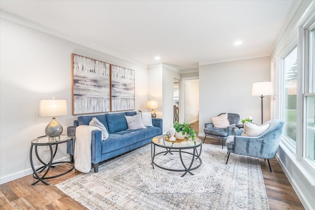 living room featuring crown molding and hardwood / wood-style flooring