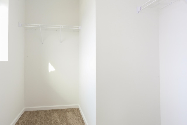 walk in closet featuring carpet