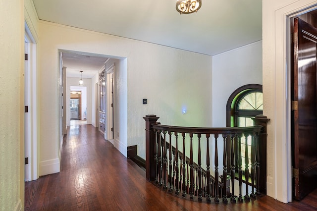 hallway featuring dark wood-type flooring