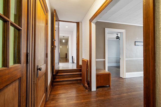 hallway with dark hardwood / wood-style flooring and crown molding