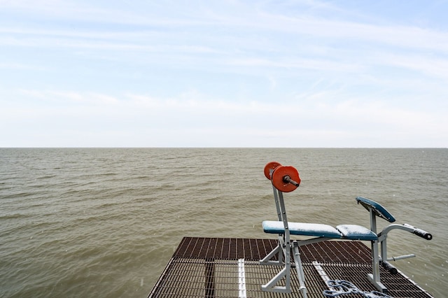 dock area with a water view