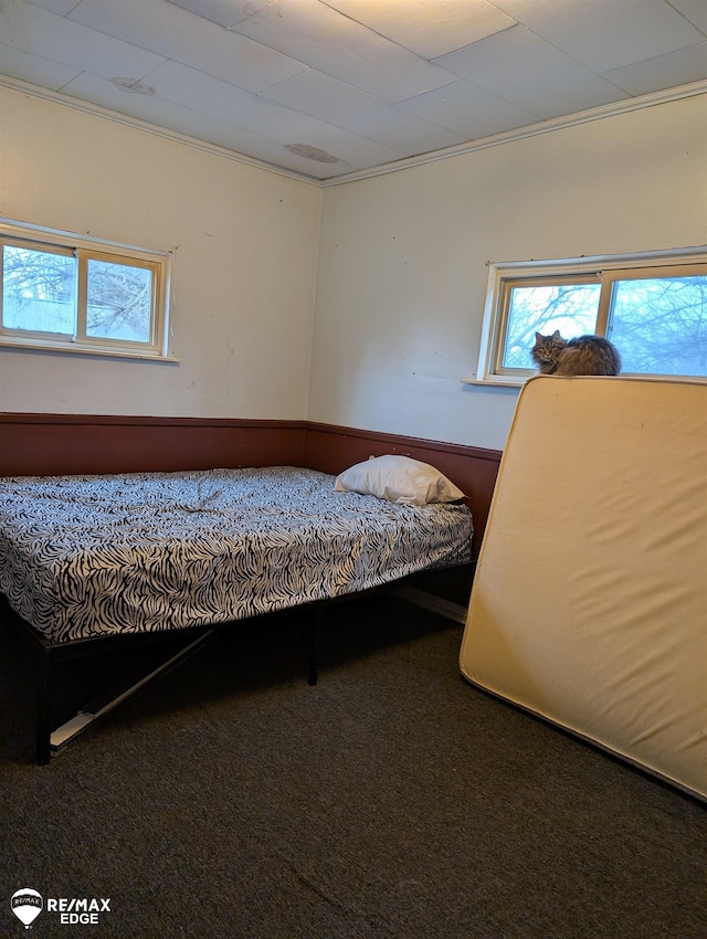 unfurnished bedroom with carpet flooring and ornamental molding