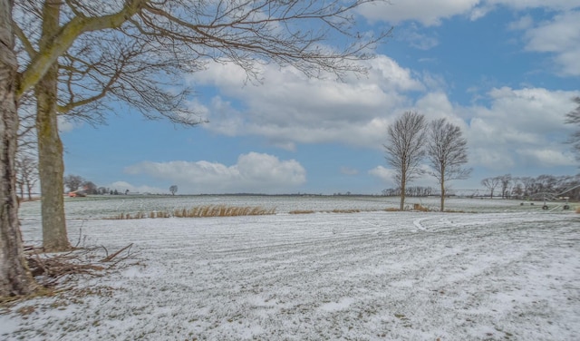 view of yard layered in snow