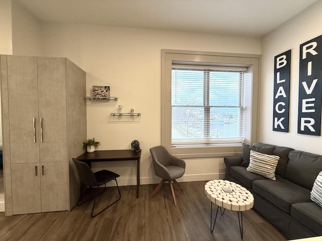 living room featuring dark hardwood / wood-style floors