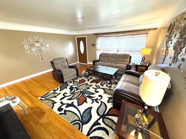 living room with hardwood / wood-style floors