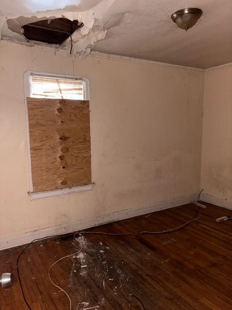 basement featuring hardwood / wood-style flooring