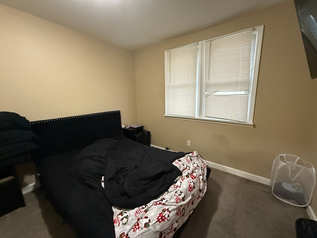 bedroom with carpet floors