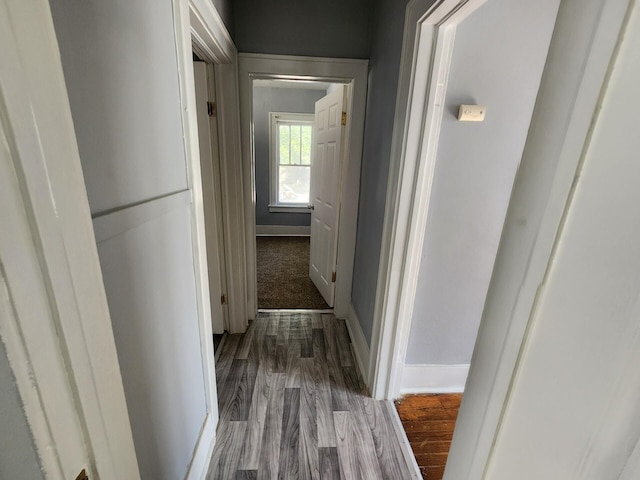 hall with hardwood / wood-style flooring