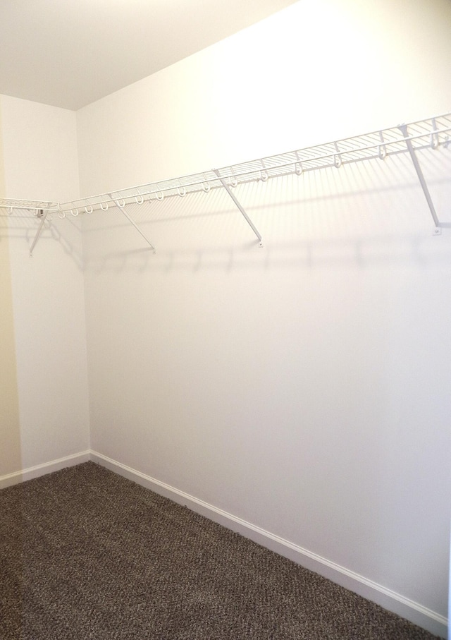 1382 Flanders St, Sturgis, MI 49091 - walk in closet featuring dark colored carpet