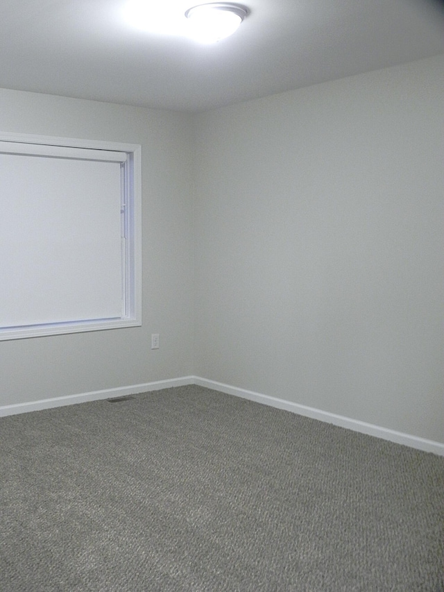 1382 Flanders St, Sturgis, MI 49091 - carpeted empty room with baseboards