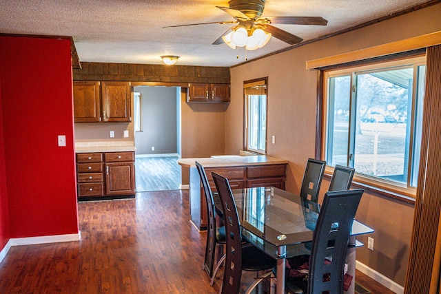 dining space with a wealth of natural light, ceiling fan, dark wood-type flooring, and a textured ceiling