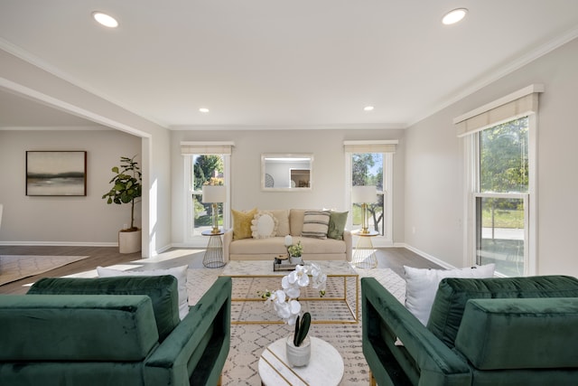 living room with hardwood / wood-style flooring and ornamental molding